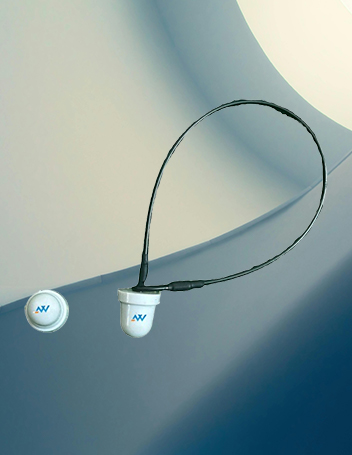 AWSML02 Loop Lock